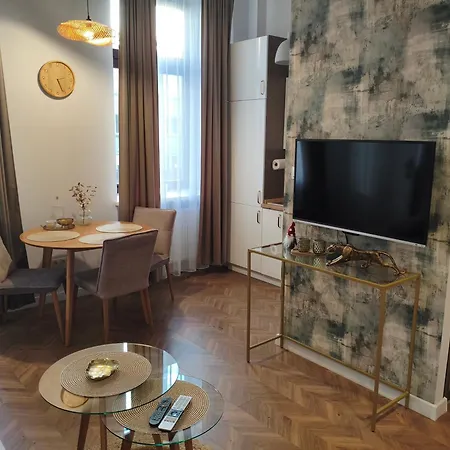 Apartments Czestochowa - Sloneczna Kamienica - Centrum - Prywatny Parking Free! - Netflix ! Apartment Czestochowa