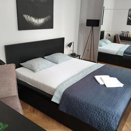 Apartments Czestochowa - Sloneczna Kamienica - Centrum - Prywatny Parking Free! - Netflix ! Apartment *